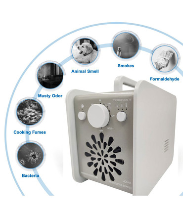 Purificateur d'air LEVOIT pour les allergies à la Maroc