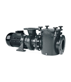 Pompe grand débit pour piscines publiques