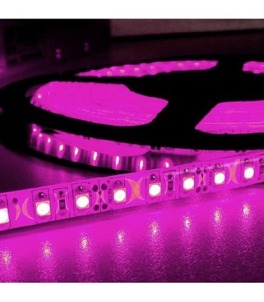 ruban leds rose maroc