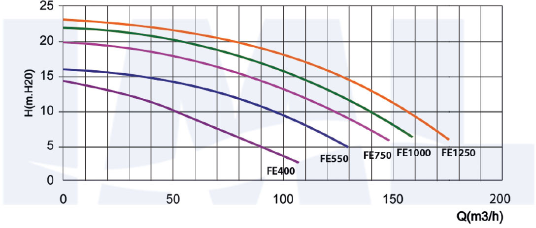 FE-t1.jpg