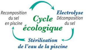 La cellule d'électrolyse d'une piscine au sel