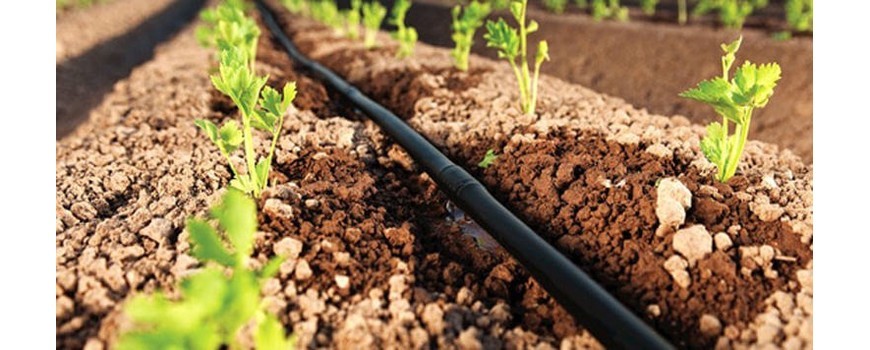 Test: les 10 meilleurs systèmes d'irrigation - Mon Jardin Ideal