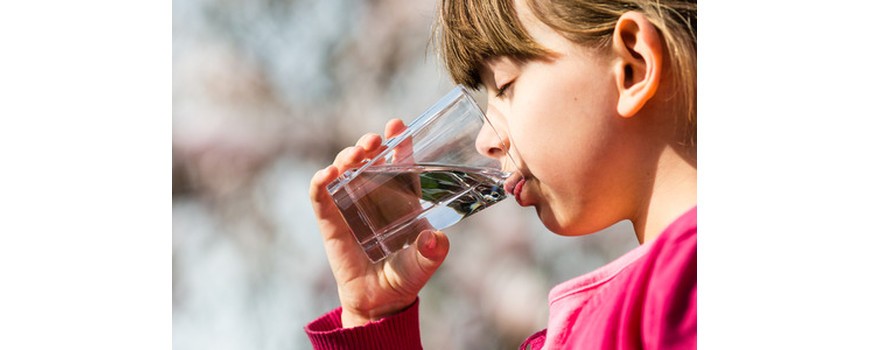 Filtre à charbon actif pour de l'eau purifiée par un osmoseur